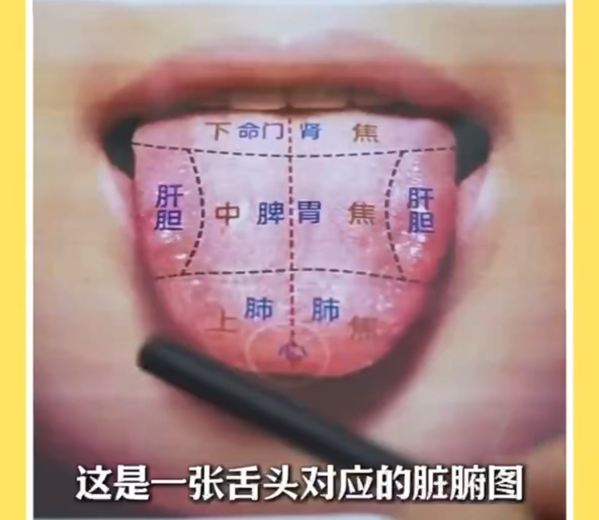 舌苔看诊教程